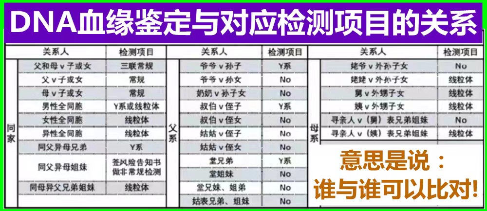 dna配合.jpg