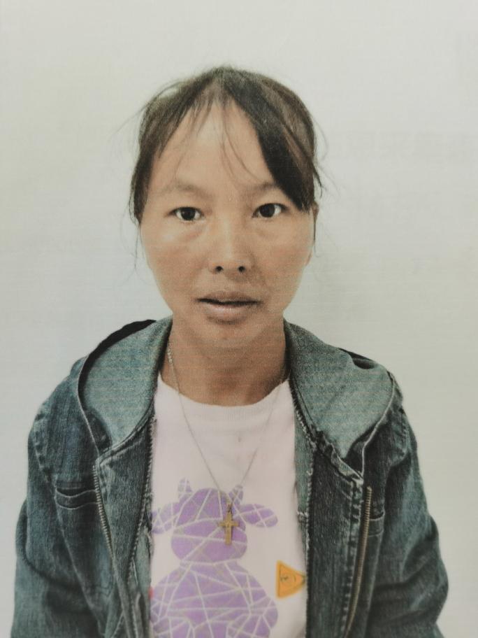 涟水县收留杨柳之找家2302031217.jpg