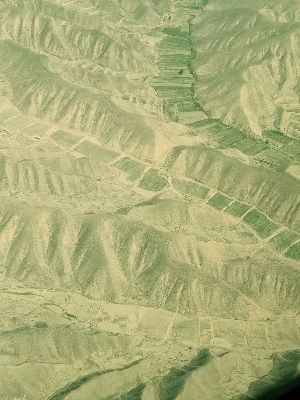 01-2.jpg