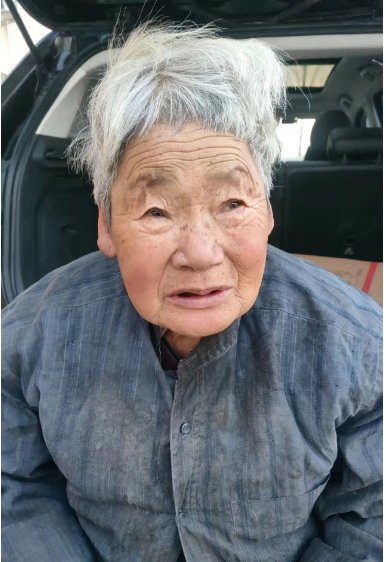 高碑店救助2024民政1找家2410282201.pjg.png