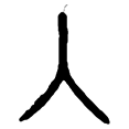 5入.png