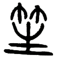 8.png